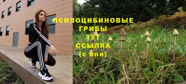 mdpv Елизово