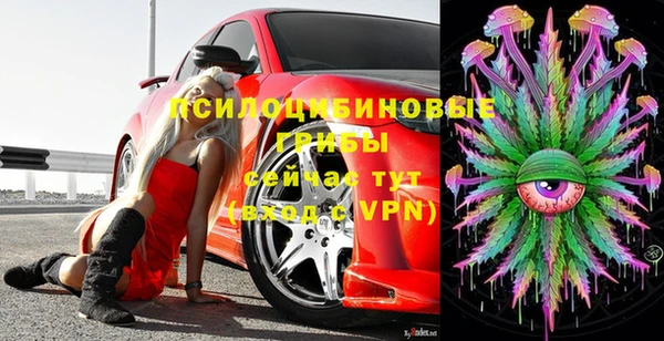 mdpv Елизово