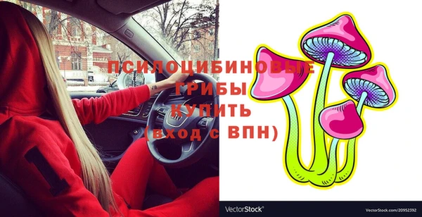 mdpv Елизово