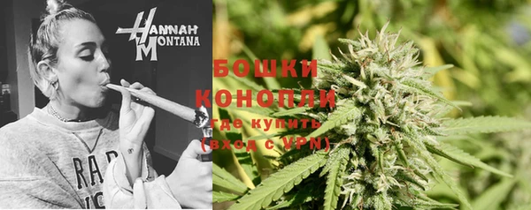 mdpv Елизово