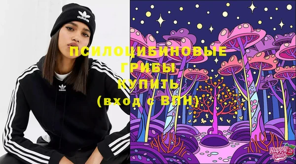 mdpv Елизово