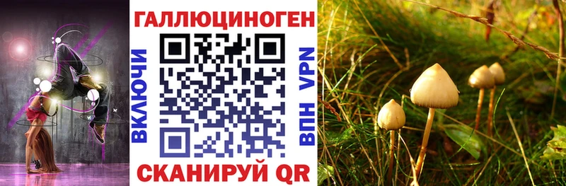 Галлюциногенные грибы Cubensis  Купить где  Камешково 